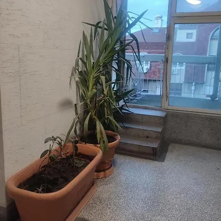 Coco Bright & Stylish In