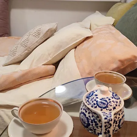 Coco Bright & Stylish In * 베오그라드