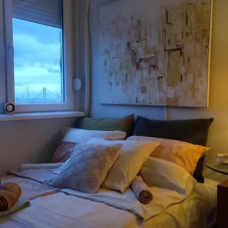 Coco Bright & Stylish In Daire